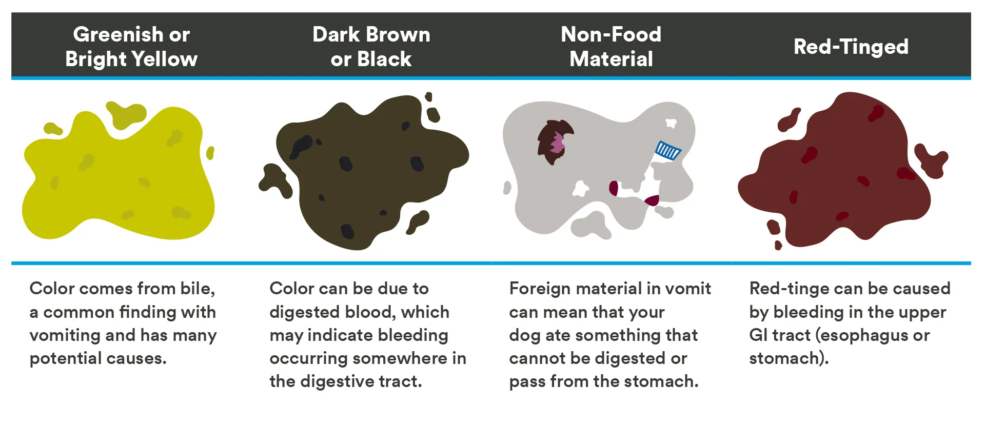 Common Causes of Loose Stool and Vomiting in Dogs