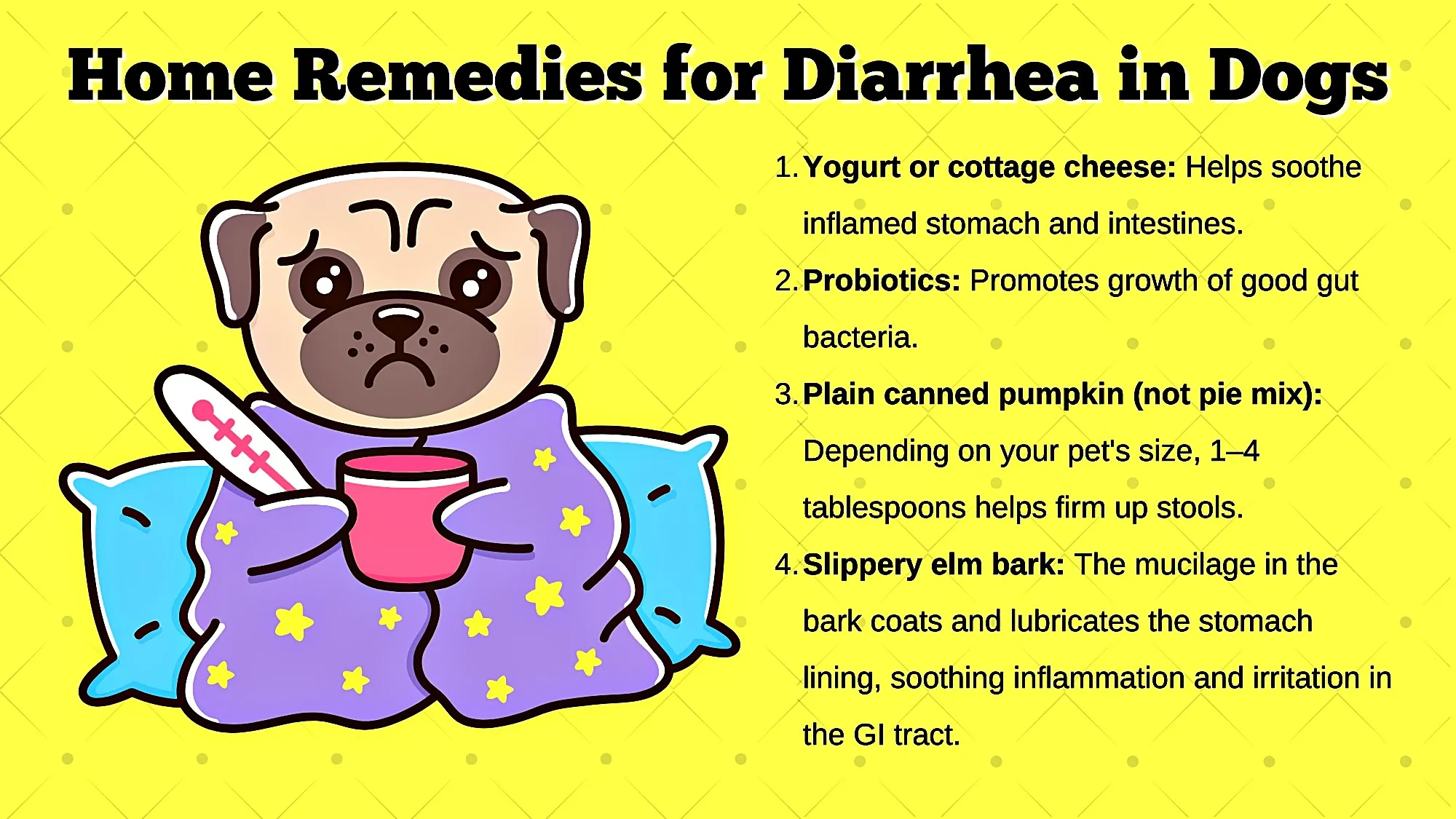 Home Remedies for Mild Dog Puking and Diarrhea