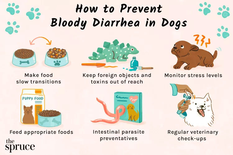 Preventing Blood in Dogs Poop