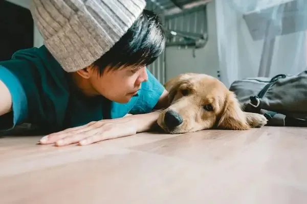What to Do If Your Dog Is Puking White Foam
