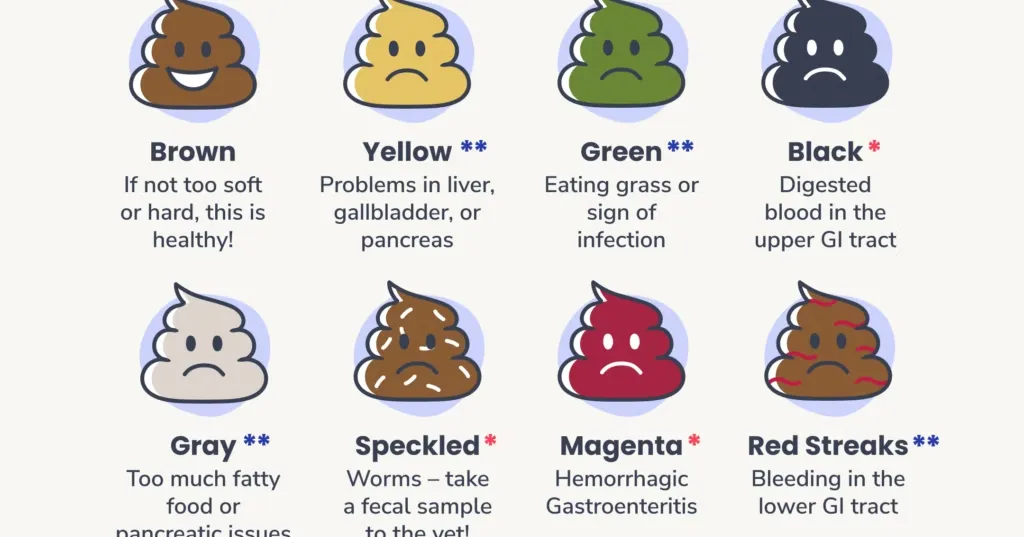 When to Be Concerned About Mucus in Dog Poop