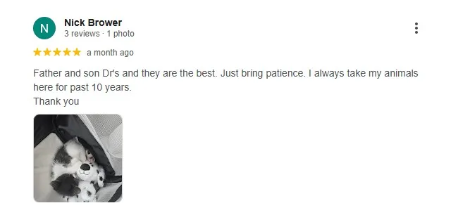 Why Choose Us? Our Clients Say It Best