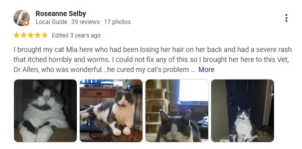 review coronado animal hospital