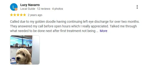 review coronado animal hospital