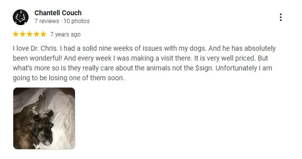 review coronado animal hospital