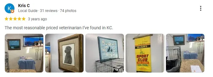 review coronado animal hospital