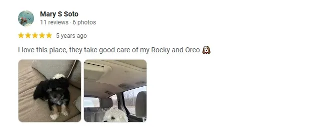 review coronado animal hospital