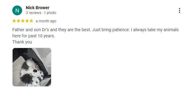 review coronado animal hospital