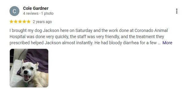 review coronado animal hospital